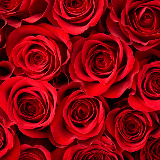 Ruby Romance Mellan – Forever Roses i Lyxig Box | ROSELY