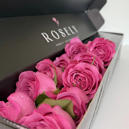 Radiant Fuchsia