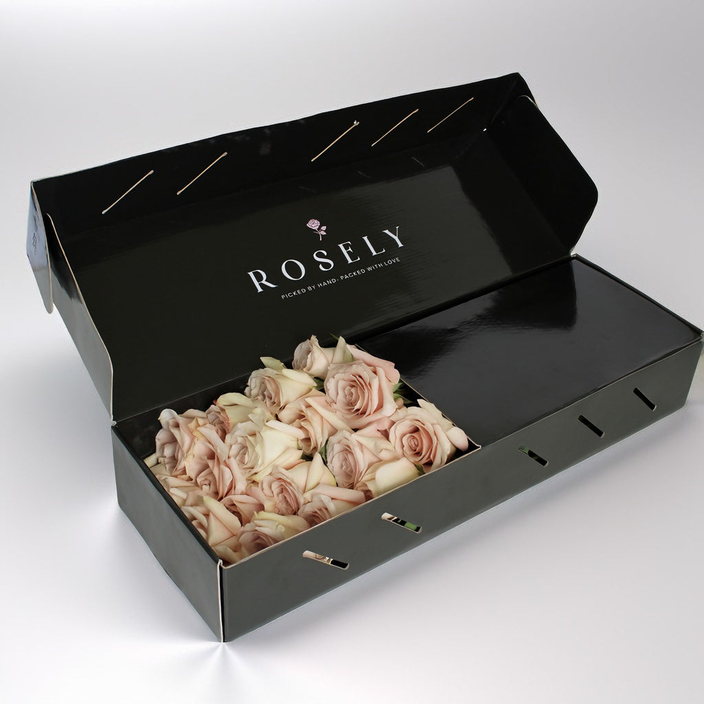 Soft Grace Mellan – Bevarade Rosor i Box | ROSELY