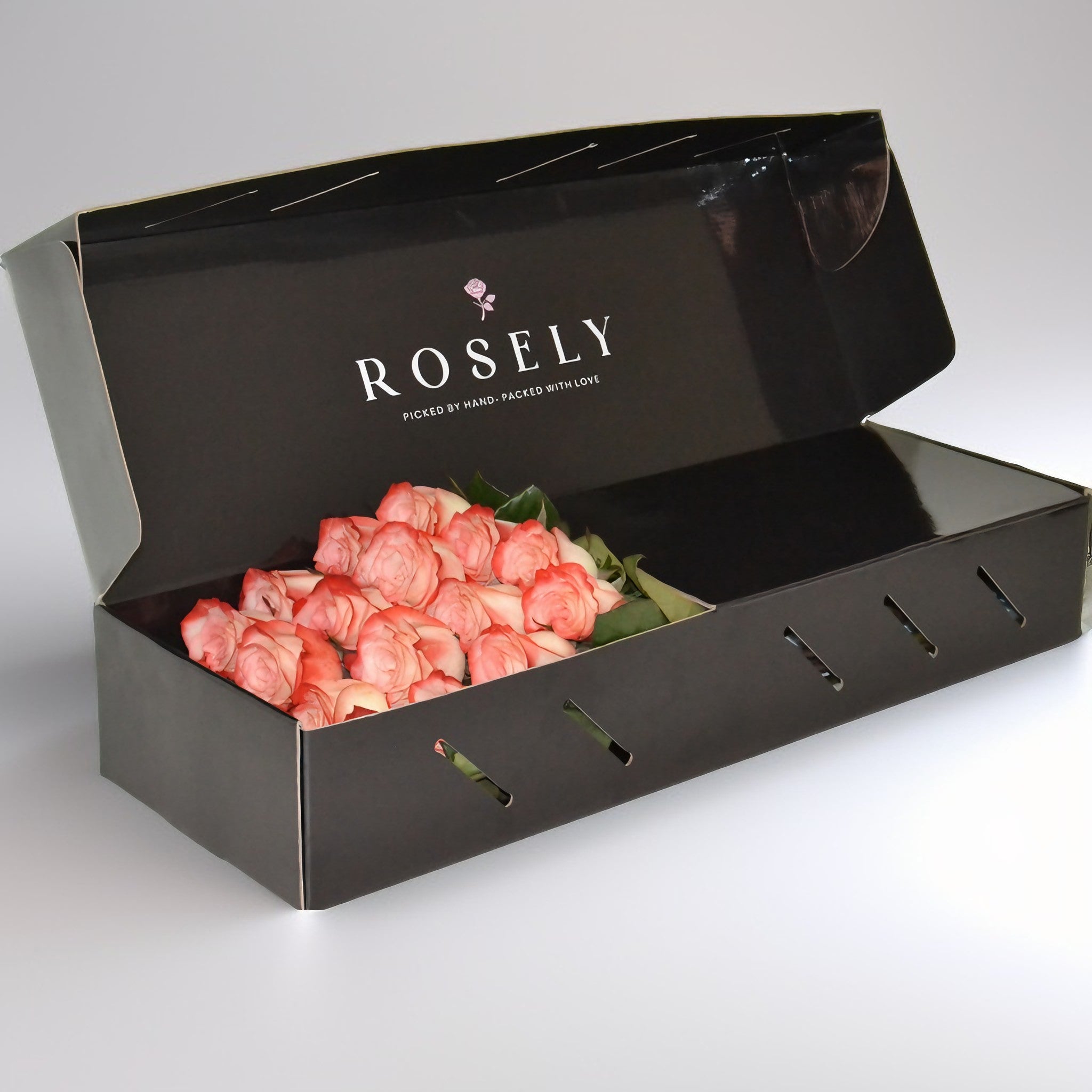 Blushing Harmony Mellan – Vackra Blommor för Födelsedag | ROSELY